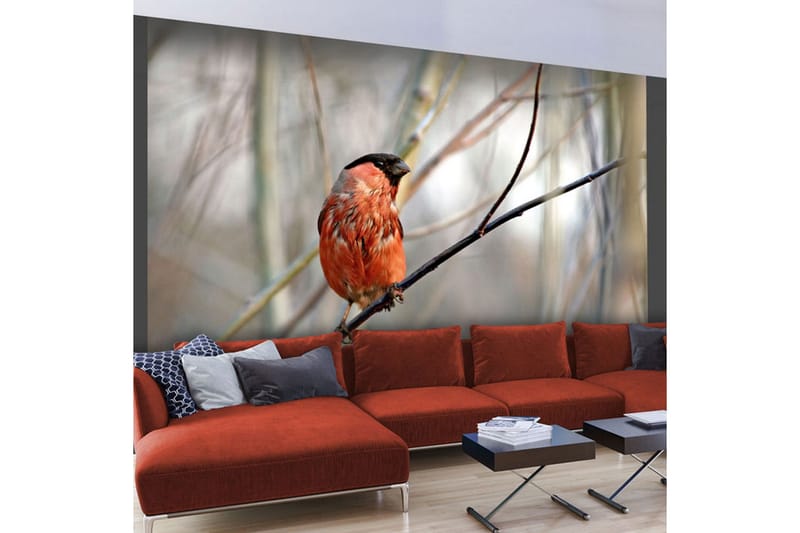 Fototapet Bullfinch In The Forest 350x270 - Artgeist sp. z o. o. - Innredning - Veggdekorasjon - Tapeter - Fototapeter