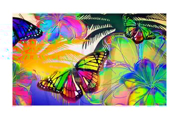Fototapet Butterflies In The Stomach 450x270 - Artgeist sp. z o. o. - Innredning - Veggdekorasjon - Tapeter - Fototapeter