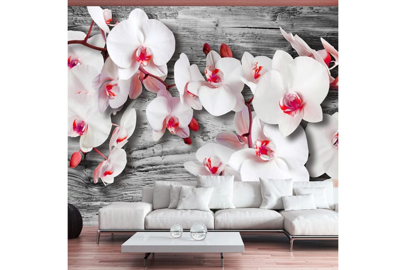 Fototapet Callous Orchids 350x245 - Artgeist sp. z o. o. - Innredning - Veggdekorasjon - Tapeter - Fototapeter