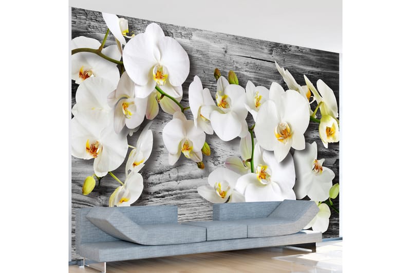 Fototapet Callous Orchids III 200x140 - Artgeist sp. z o. o. - Innredning - Veggdekorasjon - Tapeter - Fototapeter