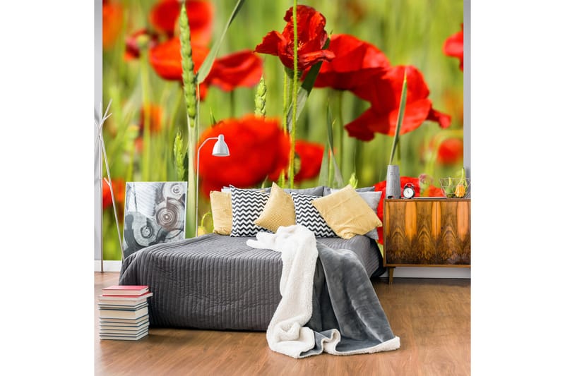 Fototapet Cereal Field With Poppy 200x154 - Artgeist sp. z o. o. - Innredning - Veggdekorasjon - Tapeter - Fototapeter