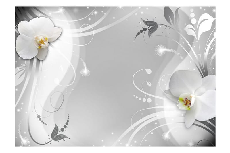 Fototapet Charming Orchid 400x280 - Artgeist sp. z o. o. - Innredning - Veggdekorasjon - Tapeter - Fototapeter