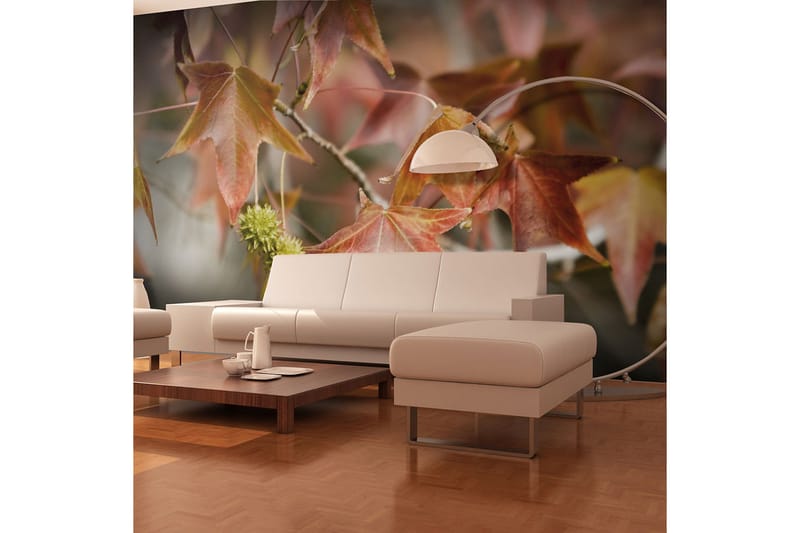 Fototapet Chestnut 300x231, Artgeist sp. z o. o.