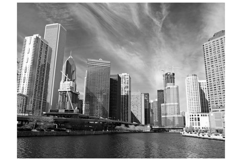 Fototapet Chicago Skyline Black and White 200x154, Artgeist sp. z o. o.