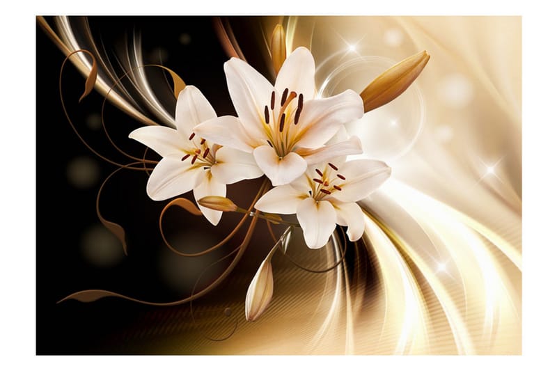 Fototapet Circle Of Light 250x175 - Artgeist sp. z o. o. - Innredning - Veggdekorasjon - Tapeter - Fototapeter