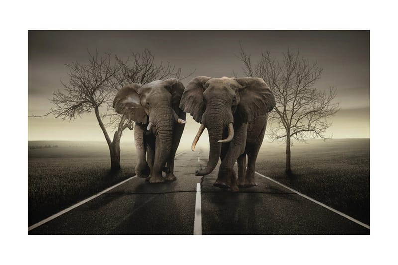 Fototapet City Of Elefanter 450x270 - Artgeist sp. z o. o. - Innredning - Veggdekorasjon - Tapeter - Fototapeter