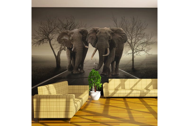 Fototapet City Of Elefanter 450x270, Artgeist sp. z o. o.