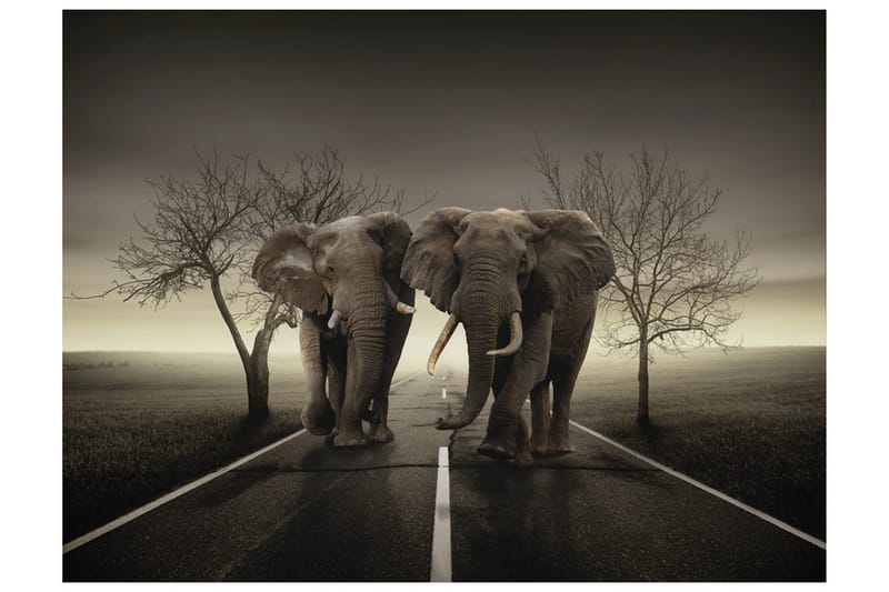 Fototapet City Of Elephants 250x193, Artgeist sp. z o. o.