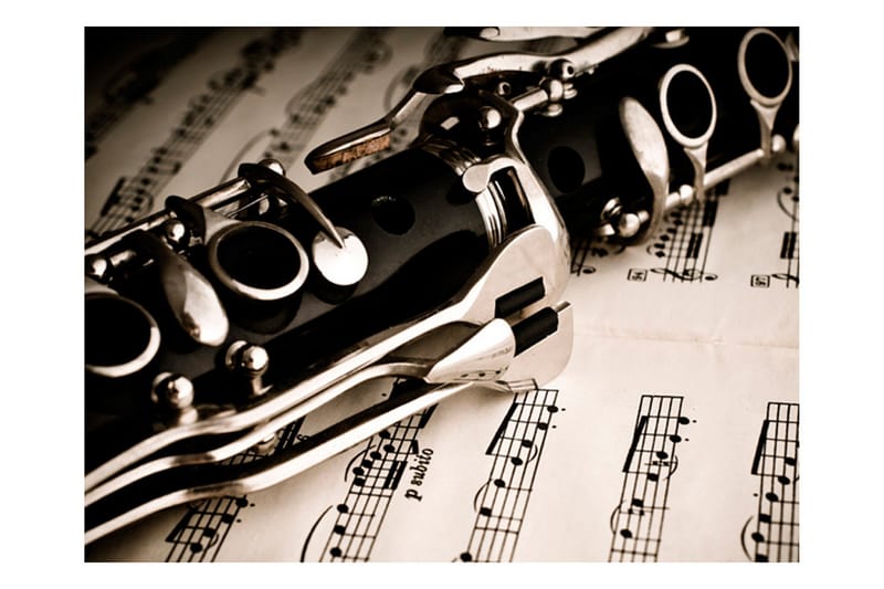 Fototapet Clarinet And Music Notes 400x309 - Artgeist sp. z o. o. - Innredning - Veggdekorasjon - Tapeter - Fototapeter