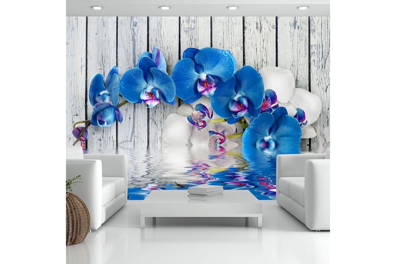 Fototapet Cobaltic Orchid 300x210 - Artgeist sp. z o. o. - Innredning - Veggdekorasjon - Tapeter - Fototapeter
