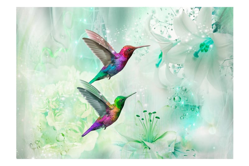 Fototapet Colourful Hummingbirds Green 100x70 - Finnes i flere størrelser - Innredning - Veggdekorasjon - Tapeter - Fototapeter