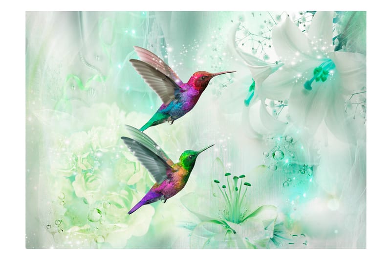 Fototapet Colourful Hummingbirds Green 250x175 - Innredning - Veggdekorasjon - Tapeter - Fototapeter