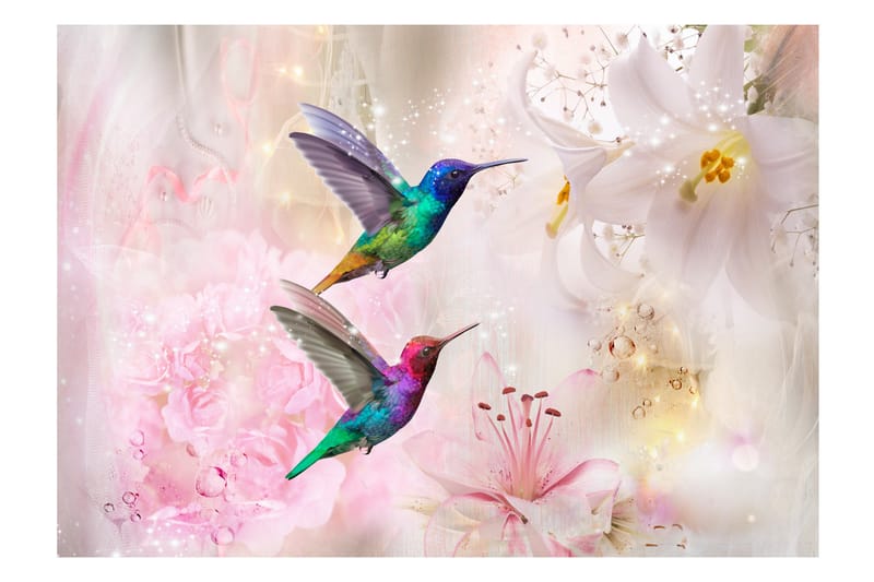 Fototapet Colourful Hummingbirds Pink 100x70 - Fototapeter