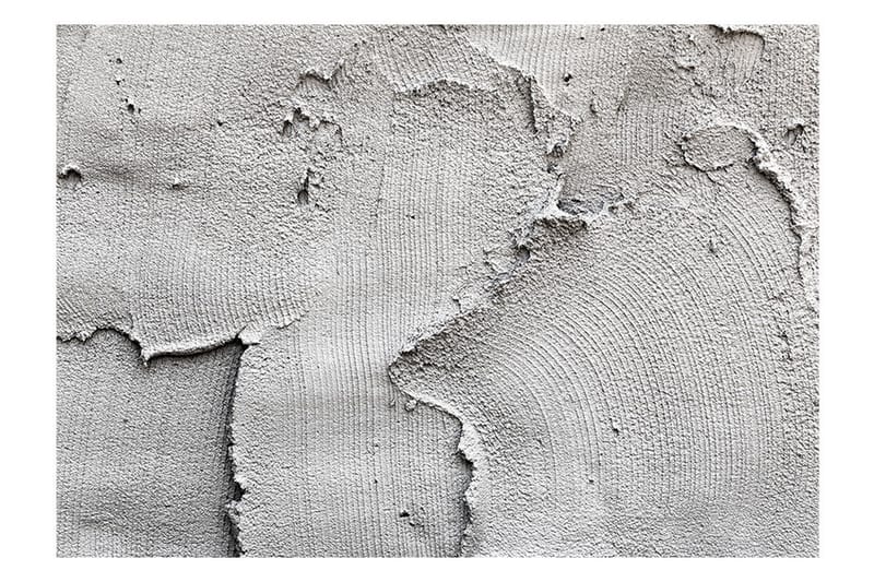 Fototapet Concrete Nothingness  200x140, Artgeist sp. z o. o.