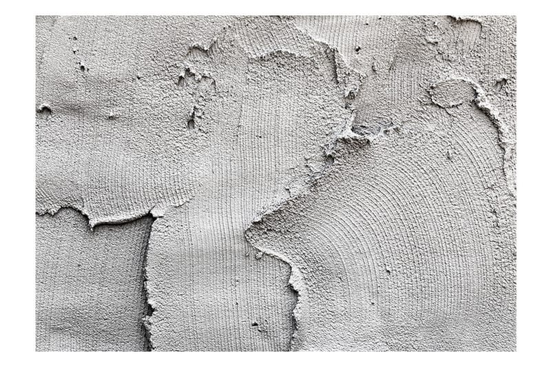 Fototapet Concrete Nothingness 350x245 - Artgeist sp. z o. o. - Innredning - Veggdekorasjon - Tapeter - Fototapeter