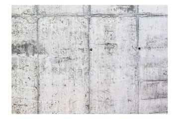 Fototapet Concrete Wall 350x245 - Artgeist sp. z o. o. - Innredning - Veggdekorasjon - Tapeter - Fototapeter