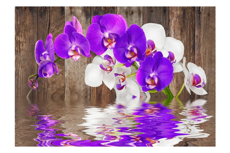 Fototapet Connection 350x245 - Artgeist sp. z o. o. - Innredning - Veggdekorasjon - Tapeter - Fototapeter