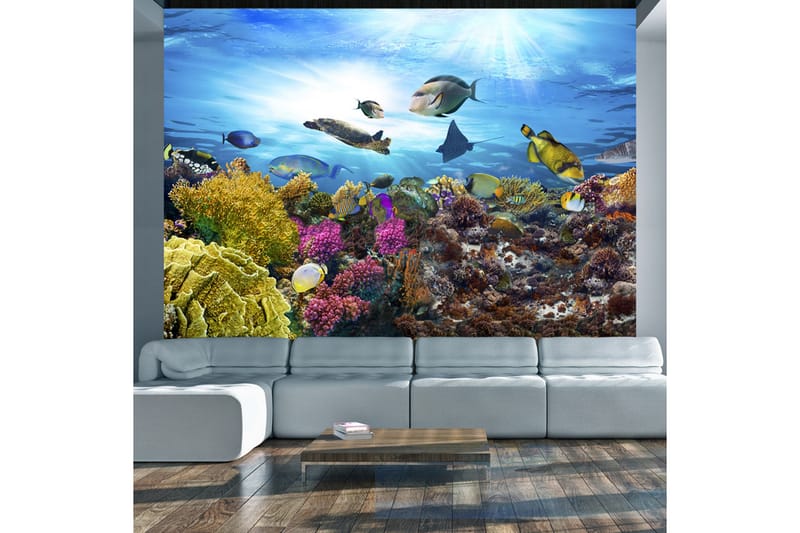 Fototapet Coral Reef 300x210 - Artgeist sp. z o. o. - Innredning - Veggdekorasjon - Tapeter - Fototapeter