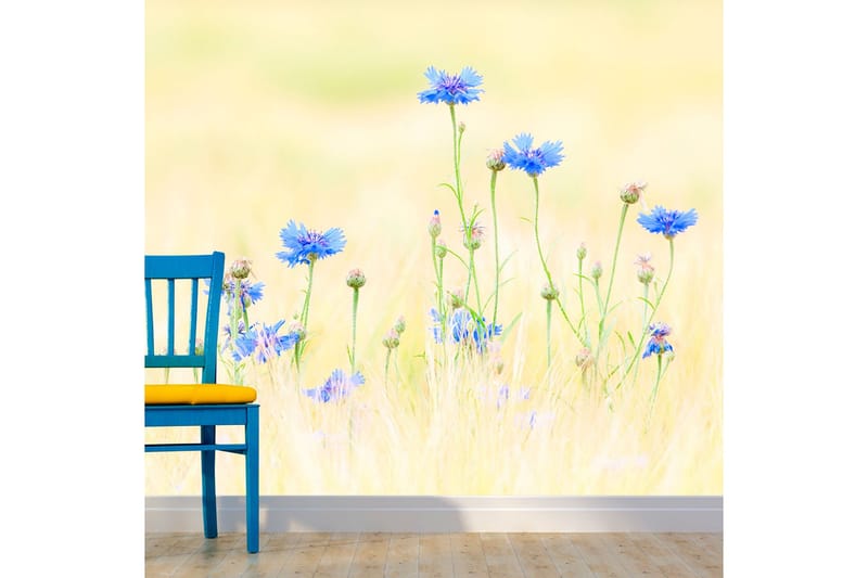 Fototapet Cornflowers 200x154, Artgeist sp. z o. o.