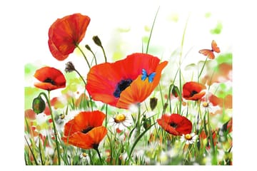 Fototapet Country Poppies 300x231 - Artgeist sp. z o. o. - Innredning - Veggdekorasjon - Tapeter - Fototapeter