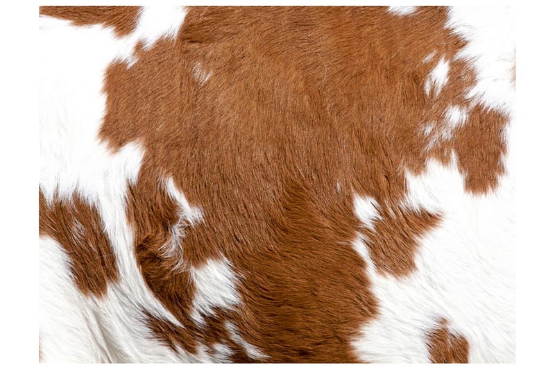 Fototapet Cow Skin 250x193 - Artgeist sp. z o. o. - Innredning - Veggdekorasjon - Tapeter - Fototapeter