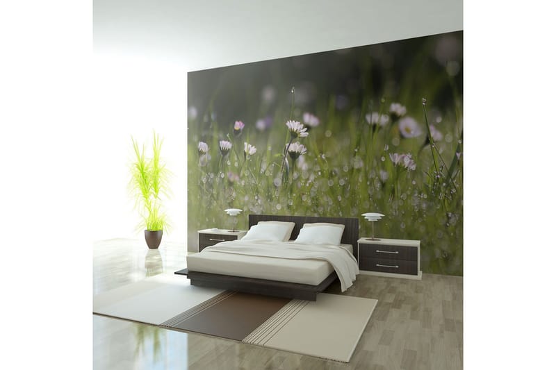 Fototapet Daisies With Morning Dew 250x193, Artgeist sp. z o. o.