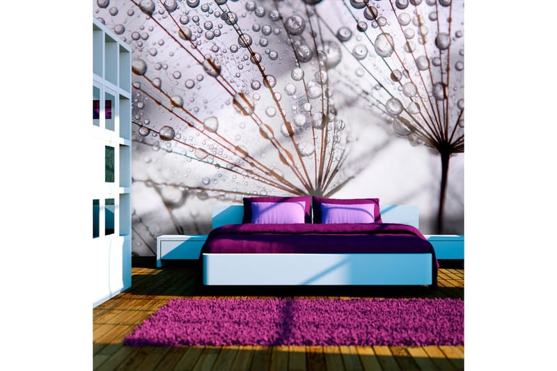 Fototapet Dandelion And Morning Dew 250x193 - Artgeist sp. z o. o. - Innredning - Veggdekorasjon - Tapeter - Fototapeter