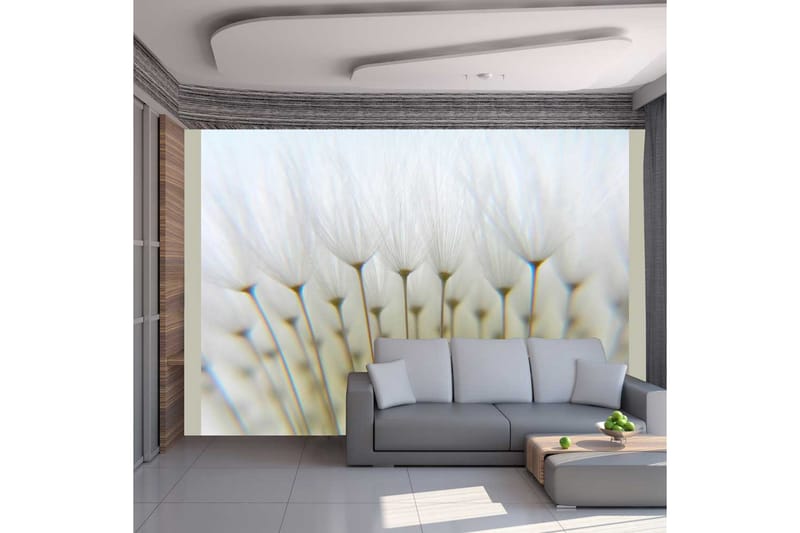 Fototapet Dandelion Forest 250x193 - Artgeist sp. z o. o. - Innredning - Veggdekorasjon - Tapeter - Fototapeter