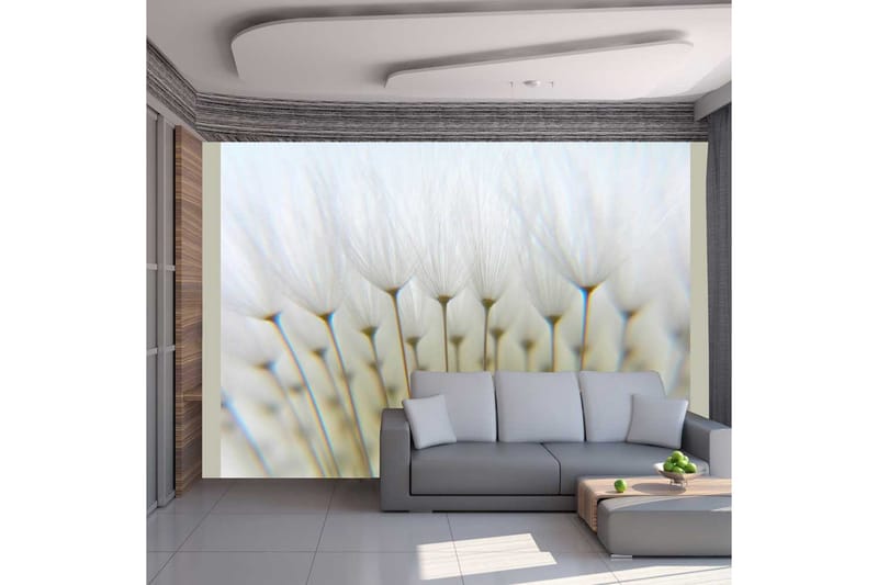 Fototapet Dandelion Forest 250x193, Artgeist sp. z o. o.