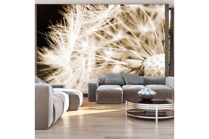 Fototapet Dandelion Sepia 350x245, Artgeist sp. z o. o.