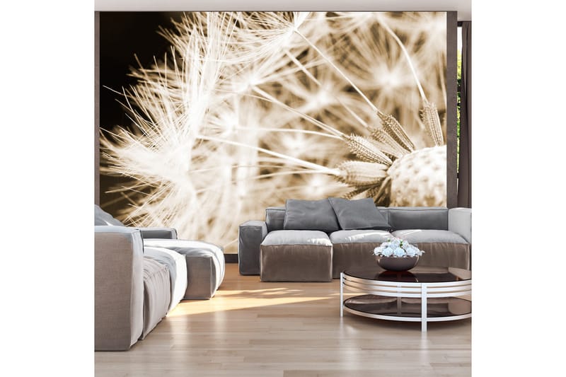 Fototapet Dandelion Sepia 350x245 - Artgeist sp. z o. o. - Innredning - Veggdekorasjon - Tapeter - Fototapeter