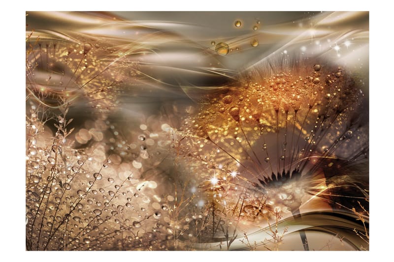 Fototapet Dandelions' World Gold 150x105, Finnes i flere størrelser