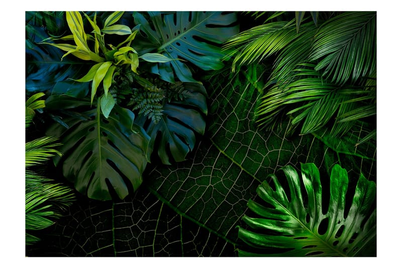 Fototapet Dark Jungle 150x105 - Artgeist sp. z o. o. - Innredning - Veggdekorasjon - Tapeter - Fototapeter