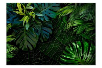 Fototapet Dark Jungle 200x140 - Artgeist sp. z o. o. - Innredning - Veggdekorasjon - Tapeter - Fototapeter
