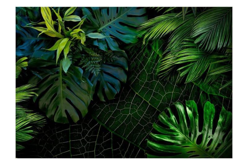Fototapet Dark Jungle 300x210, Artgeist sp. z o. o.