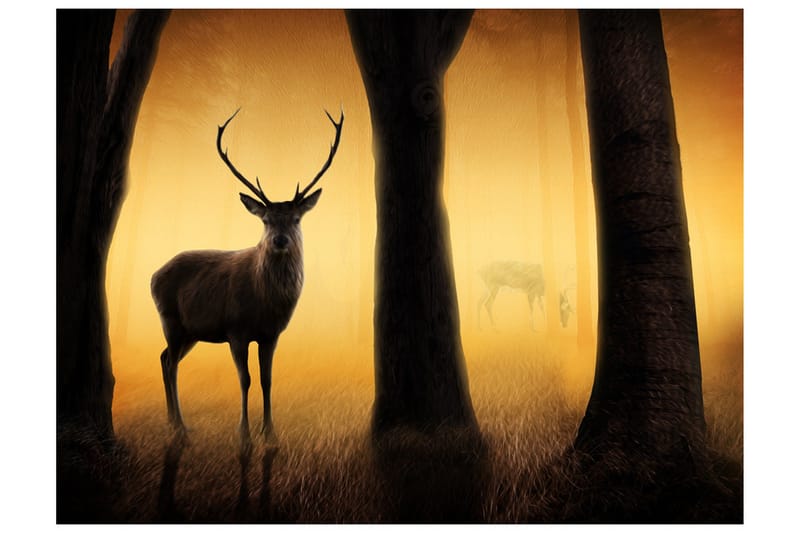 Fototapet Deer In His Natural Habitat 200x154 - Artgeist sp. z o. o. - Innredning - Veggdekorasjon - Tapeter - Fototapeter