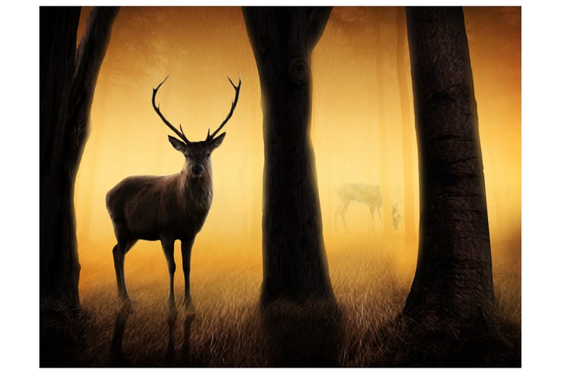 Fototapet Deer In His Natural Habitat 350x270 - Artgeist sp. z o. o. - Innredning - Veggdekorasjon - Tapeter - Fototapeter