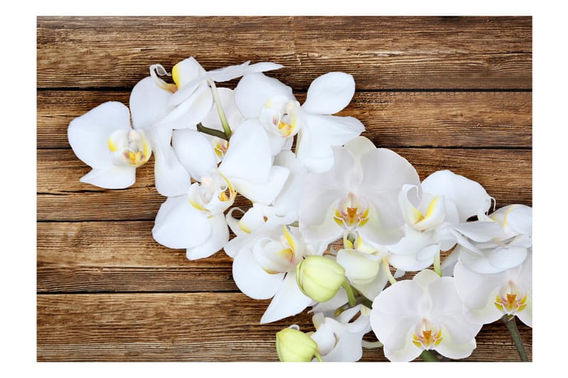 Fototapet Delicacy On Wood 200x140 - Artgeist sp. z o. o. - Innredning - Veggdekorasjon - Tapeter - Fototapeter