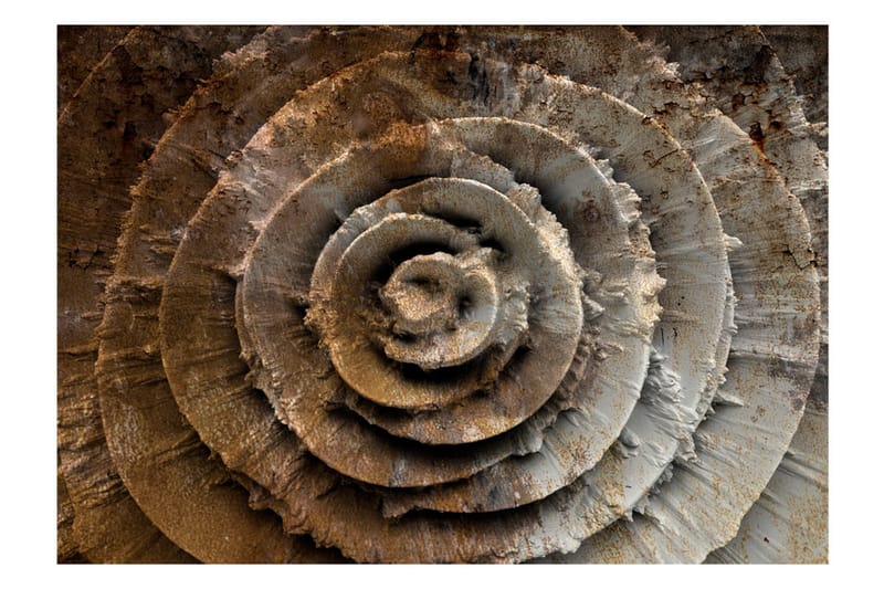 Fototapet Desert Rose 400x280 - Artgeist sp. z o. o. - Innredning - Veggdekorasjon - Tapeter - Fototapeter