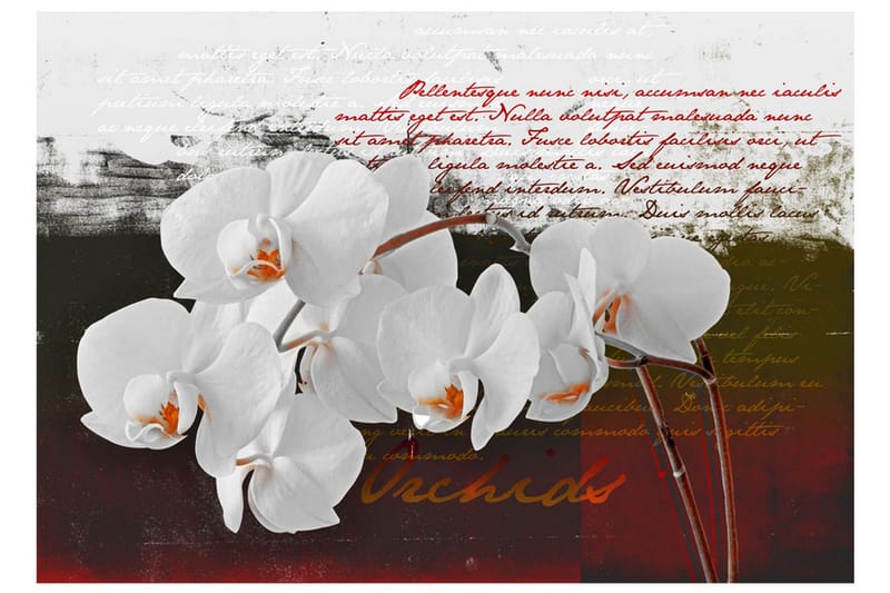 Fototapet Diary And Orchid 400x280 - Artgeist sp. z o. o. - Innredning - Veggdekorasjon - Tapeter - Fototapeter