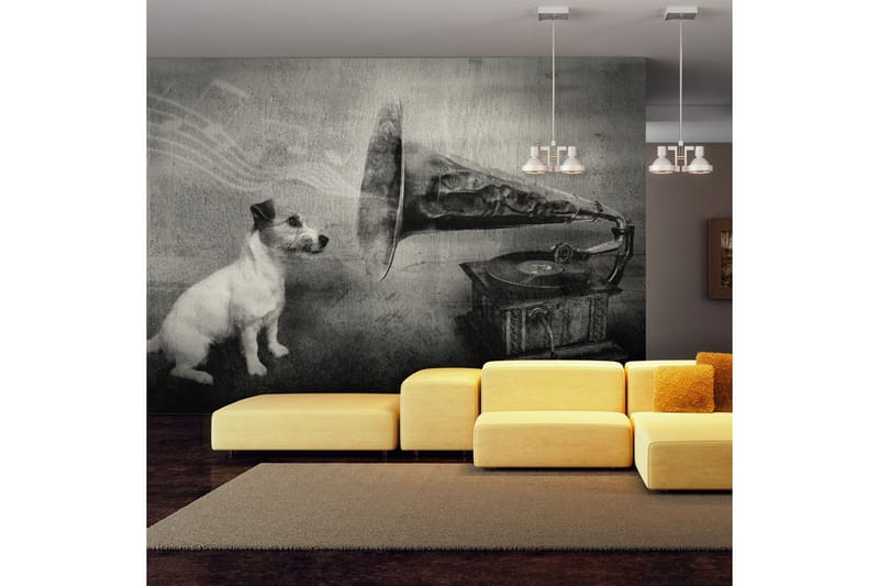 Fototapet Dog's Melodies 200x154, Artgeist sp. z o. o.