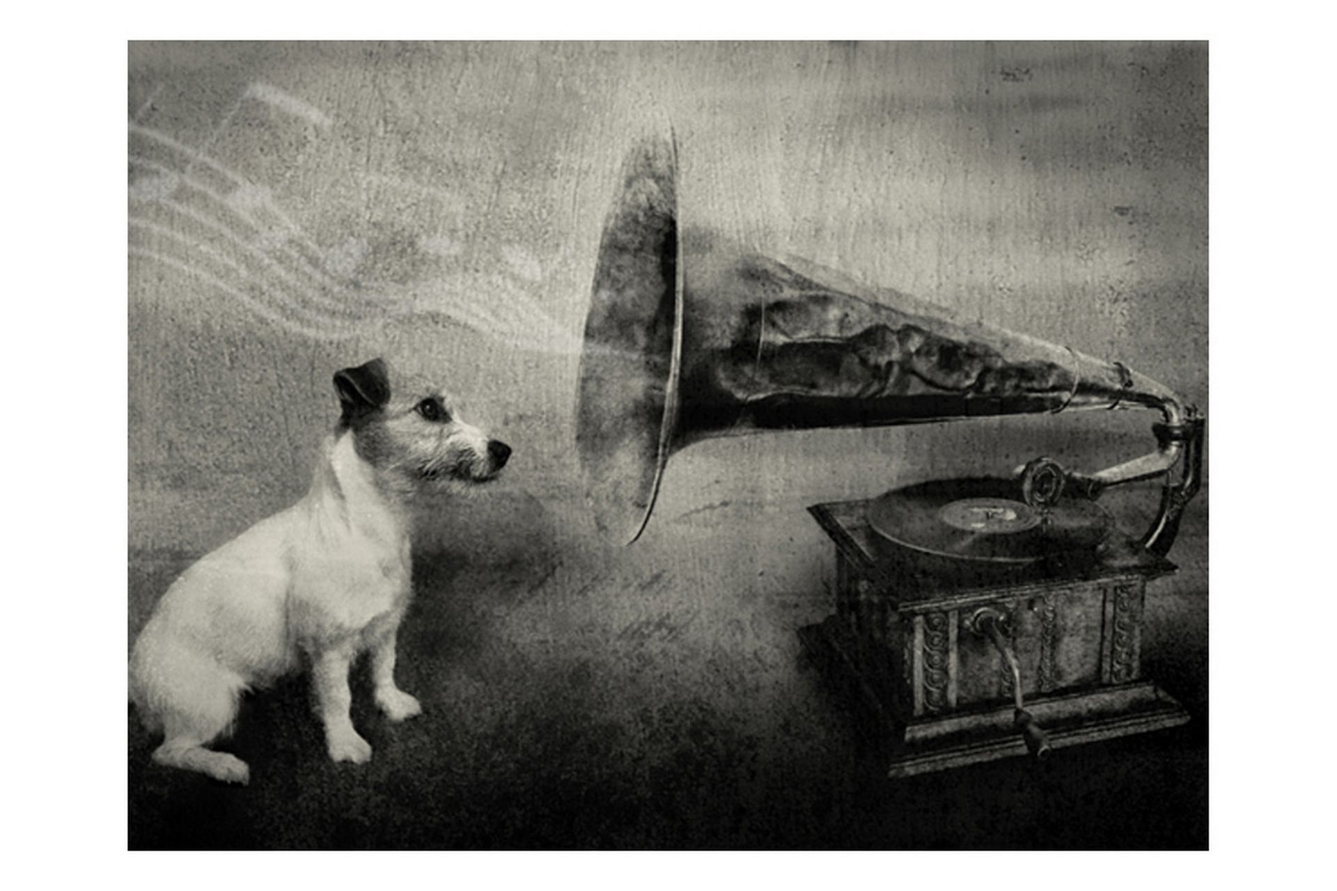 Fototapet Dog's Melodies 300x231 - Artgeist sp. z o. o. - Innredning - Veggdekorasjon - Tapeter - Fototapeter