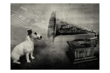 Fototapet Dog's Melodies 300x231 - Artgeist sp. z o. o. - Innredning - Veggdekorasjon - Tapeter - Fototapeter