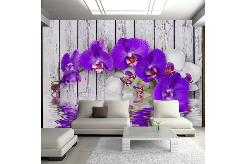 Fototapet Dormant Instincts 150x105, Artgeist sp. z o. o.