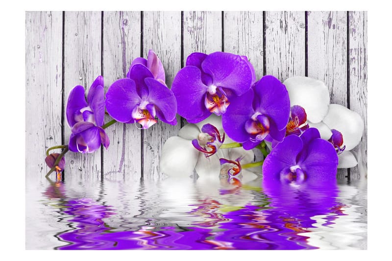 Fototapet Dormant Instincts 250x175 - Artgeist sp. z o. o. - Innredning - Veggdekorasjon - Tapeter - Fototapeter