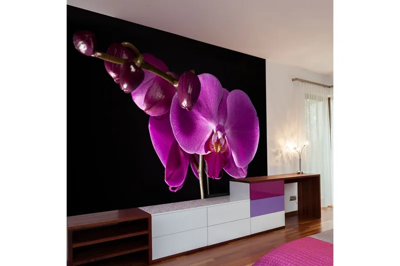 Fototapet Elegant Orchids 400x309, Artgeist sp. z o. o.