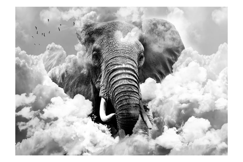 Fototapet Elephant In The Clouds Black And White 100x70 - Artgeist sp. z o. o. - Innredning - Veggdekorasjon - Tapeter - Fototapeter