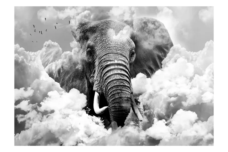 Fototapet Elephant In The Clouds Black And White 150x105, Artgeist sp. z o. o.