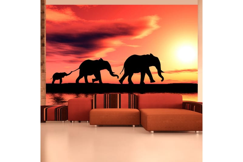 Fototapet Elephants Family 200x154 - Artgeist sp. z o. o. - Innredning - Veggdekorasjon - Tapeter - Fototapeter
