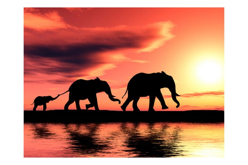 Fototapet Elephants Family 300x231 - Artgeist sp. z o. o. - Innredning - Veggdekorasjon - Tapeter - Fototapeter